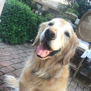 Meet your Posher, Ali